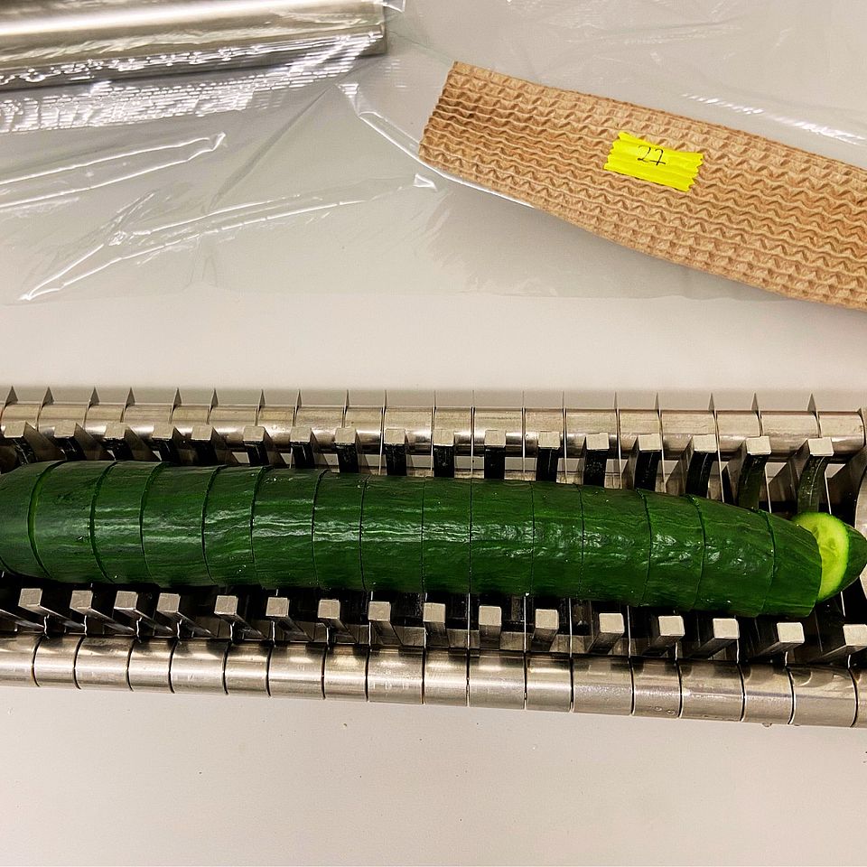 One of 864 cucumbers before being sliced