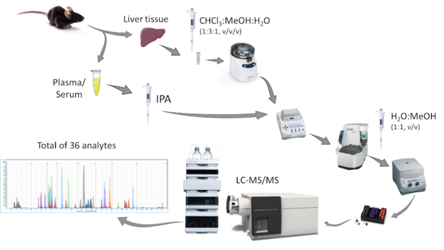 Graphical Abstract