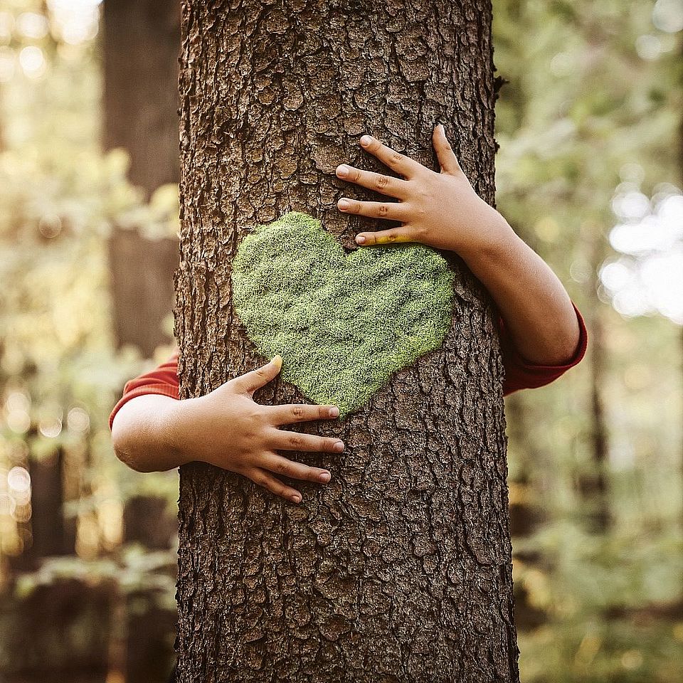 Hands with tree