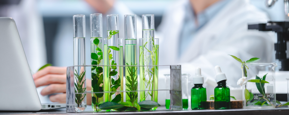 iscovery of new plant-derived immune-modulating substances