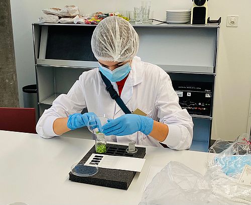 [Translate to English:] ZK2