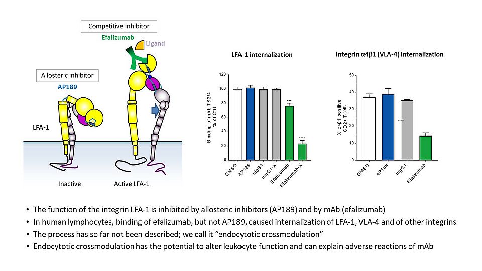 Endocytotic Crossmodulation