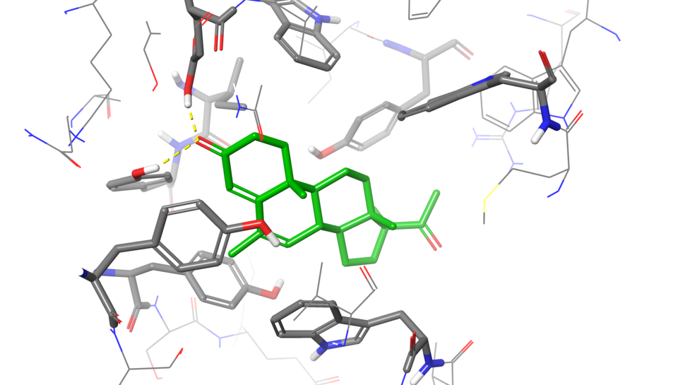 Screening for endocrine disruptors