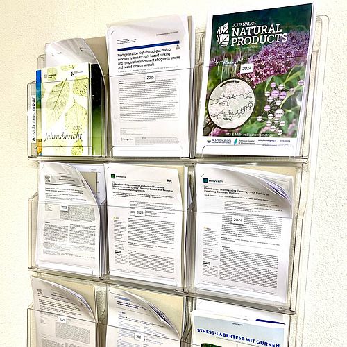 [Translate to English:] Tobacco