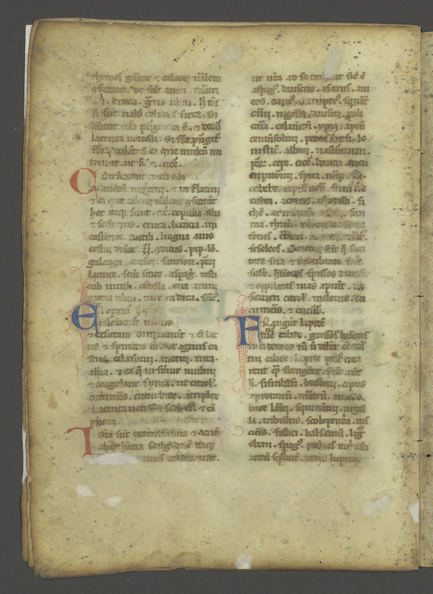 Pharmazeutische Handschrift