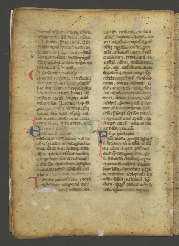 Pharmazeutische Handschrift