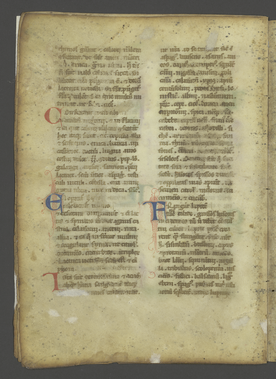 Pharmazeutische Handschrift
