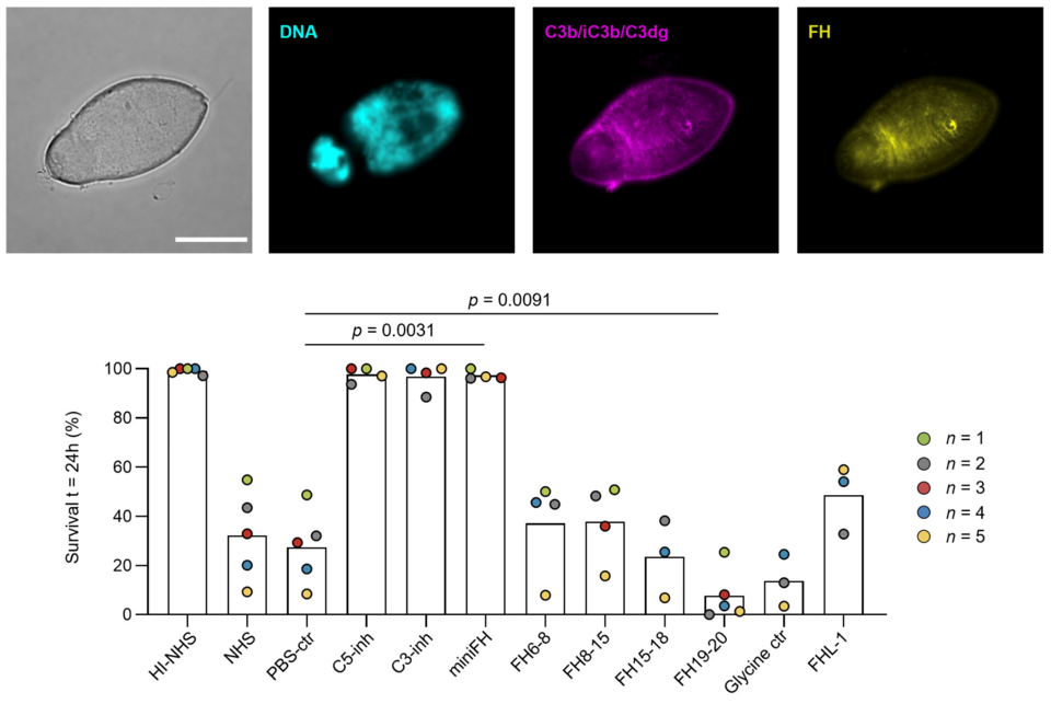 van Beek et al