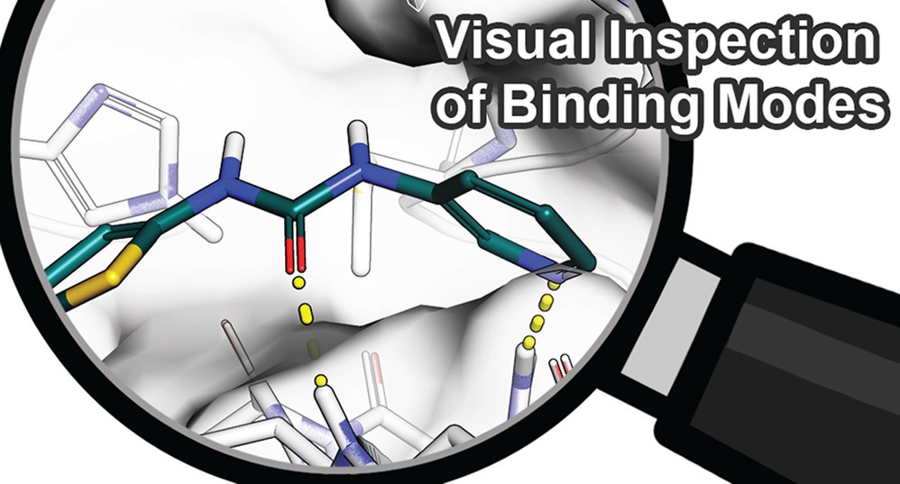 Decision Making in Structure-Based Drug Discovery: Visual Inspection of ...