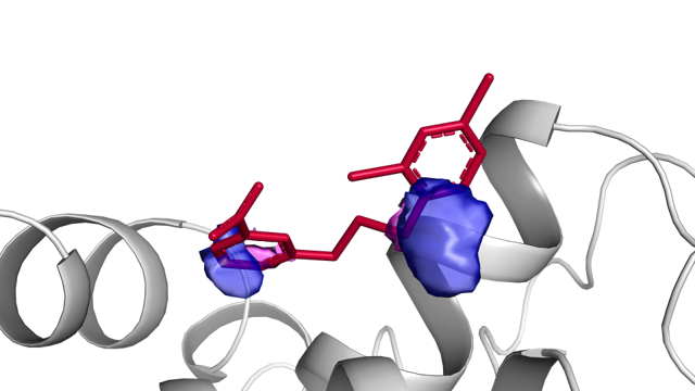 [Translate to English:] Nuclear receptors